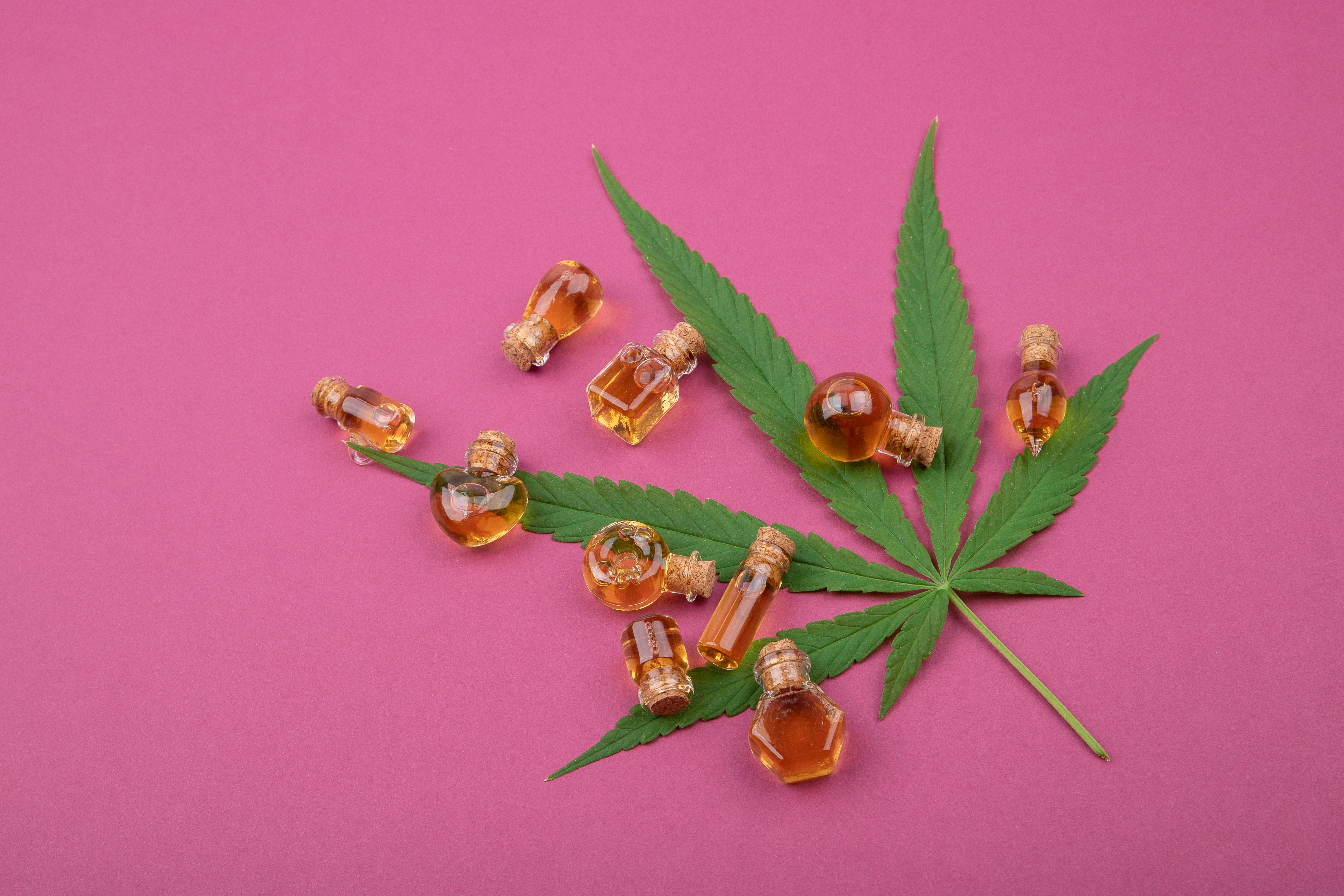 alt="cbd oil on top of hemp leaf"